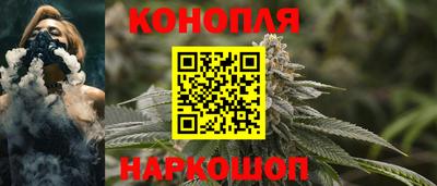 крисы Новодвинск