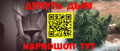 крисы Новодвинск
