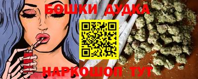 крисы Новодвинск