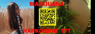 крисы Новодвинск