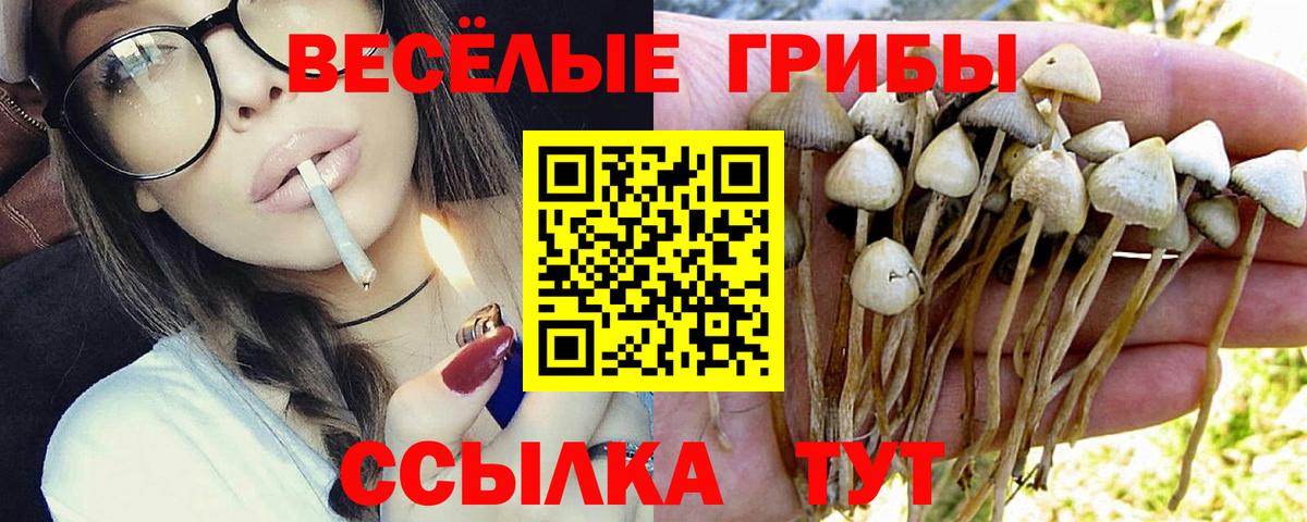 Галлюциногенные грибы Magic Shrooms  Галлюциногенные грибы Magic Shrooms  Советск  Вход с VPN 